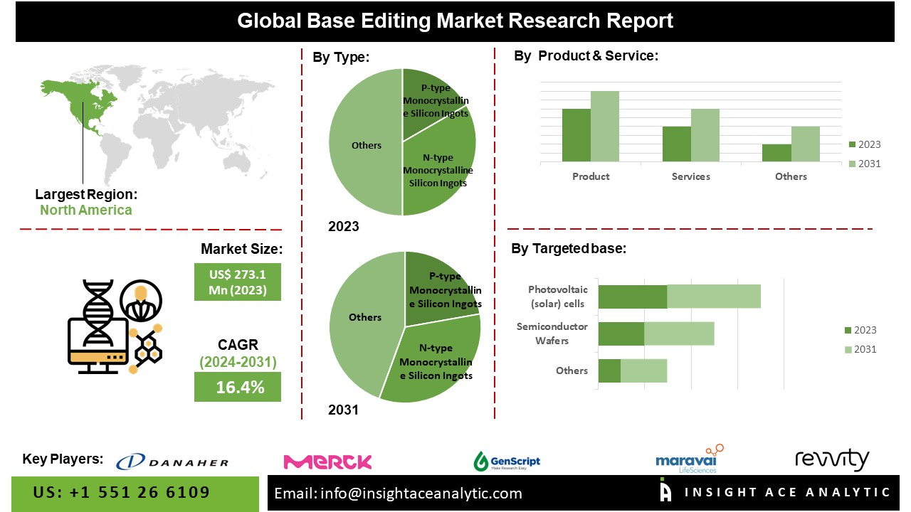 Base Editing Market 2024: Trends, Innovations, and Growth Forecast