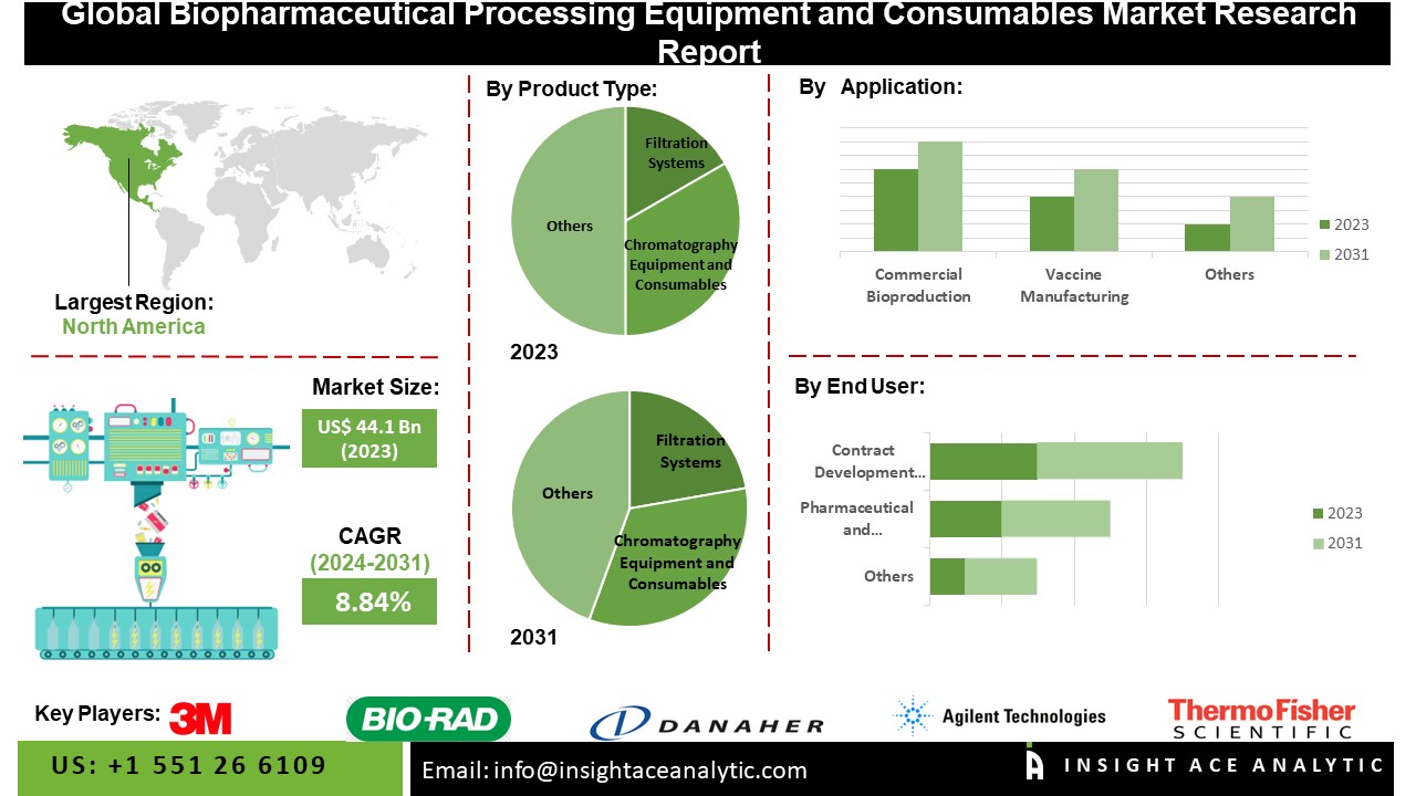 Biopharmaceutical Processing Equipment and Consumables Market 2024: Key Trends, Growth Insights, and Forecast