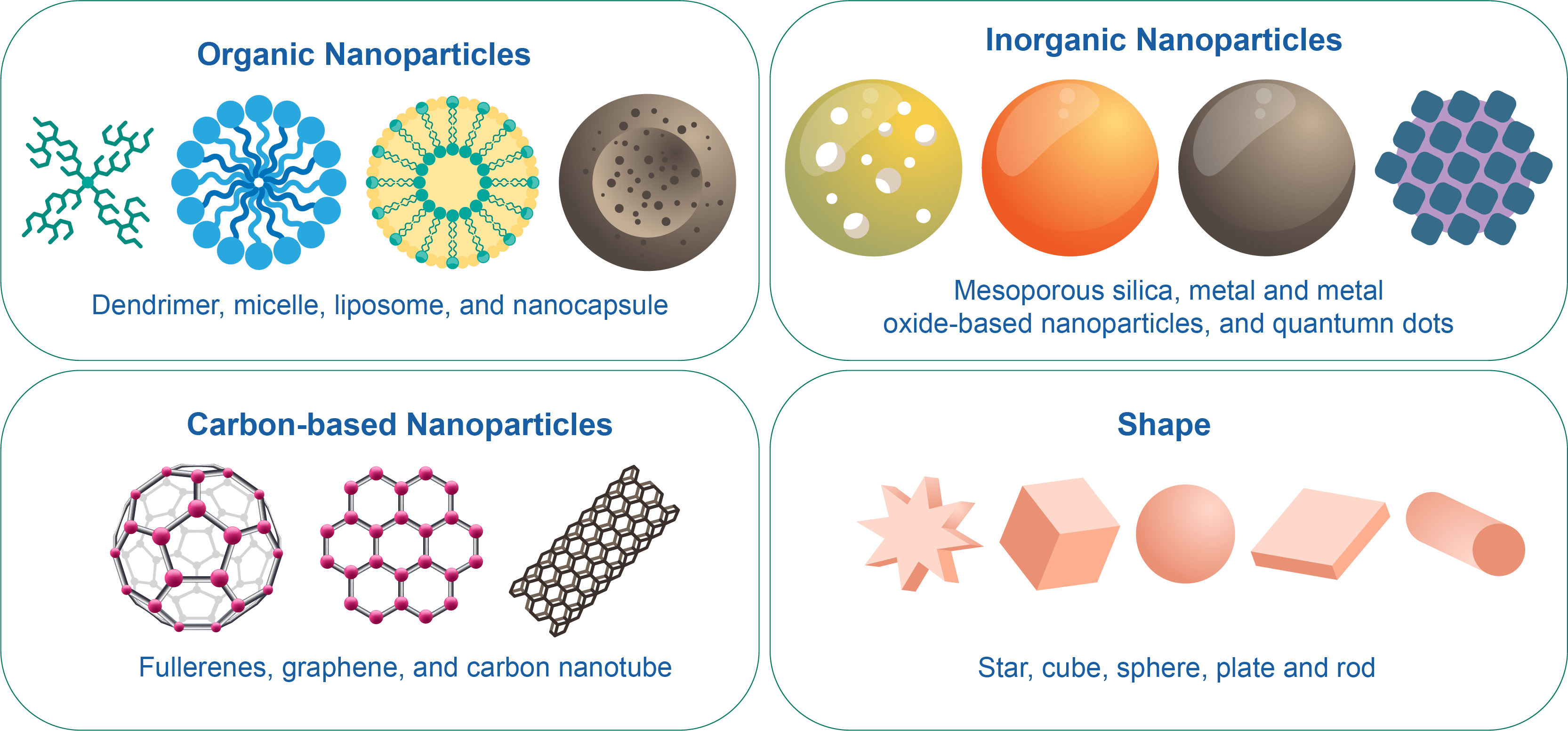 CD Bioparticles Introduces Innovative Stable-Isotope Labeled Particles for Blood Flow Measurement