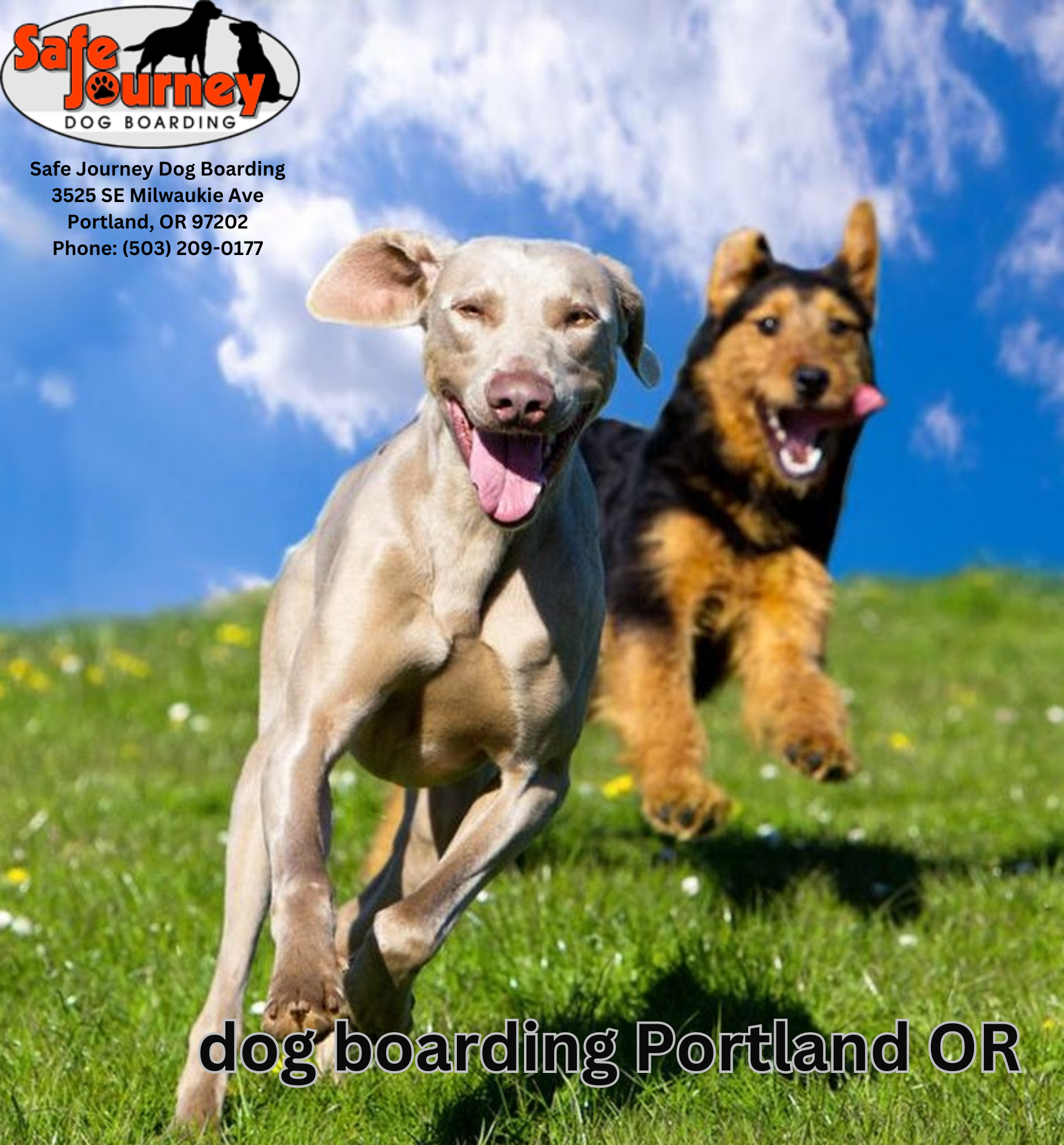 Safe Journey Dog Boarding Celebrates 18 Years of Providing Premium Pet Care in Portland, OR