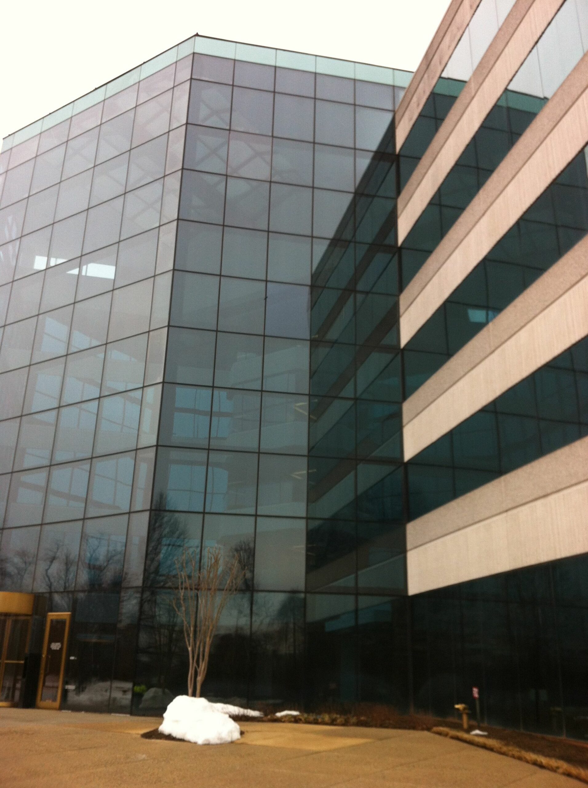 A & C Glass Tinting: Leading the Way in a Sustainable Glass Tinting for Homes and Businesses