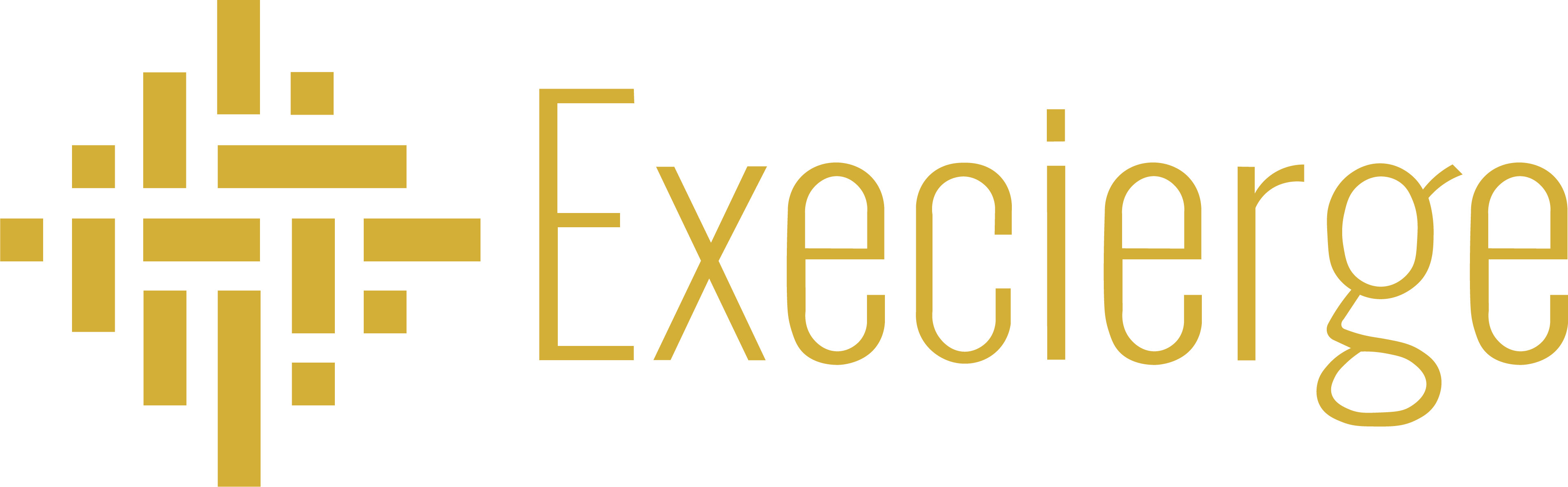 Execierge: Pioneering Women Empowerment via Fractional Executive Assistants