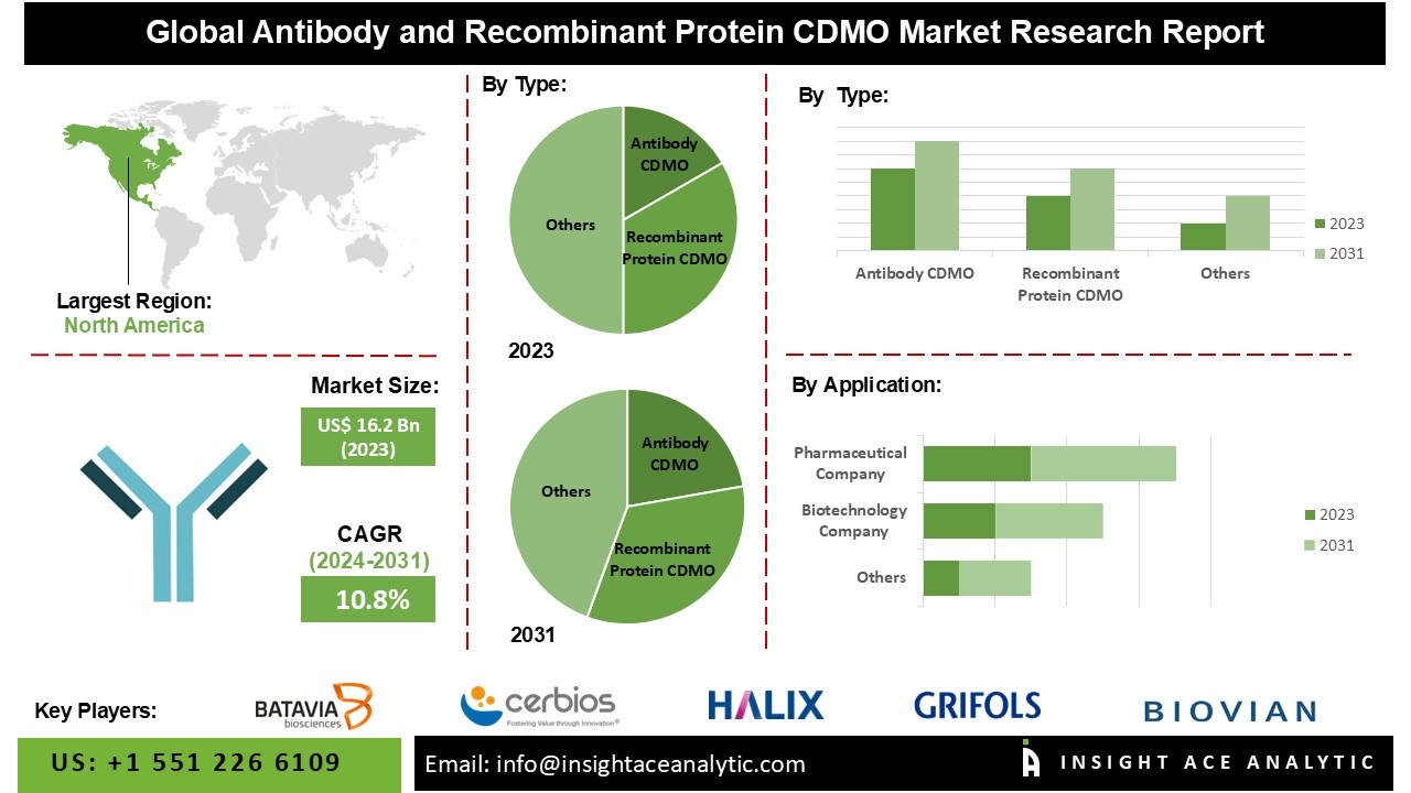 Antibody and Recombinant Protein CDMO Market: Key Trends and Growth Forecasts