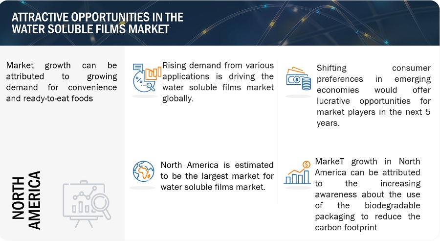 Water Soluble Films Market Trends, Opportunities, Key Segmentation, Regional Growth, Leading Companies, and Forecast to 2029