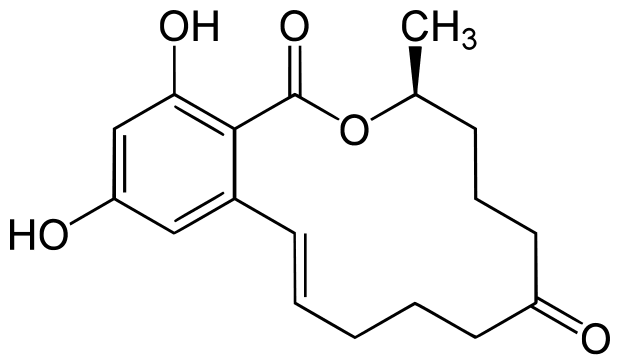 Creative Diagnostics Announces New Zearalenone Test Reagents for Food Safety Applications