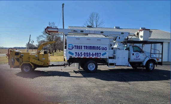 DG Tree Trimming LLC Wins the 2024 Quality Business Award for The Best Tree Service in Muncie, Indiana 