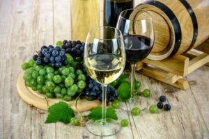 Temecula Wine Tours Offers Custom Wine Tasting Experiences in Southern California