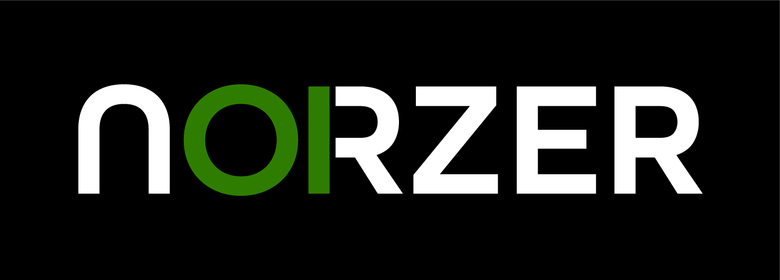 Norzer Launches Exclusive Managed WordPress Hosting for Small Businesses