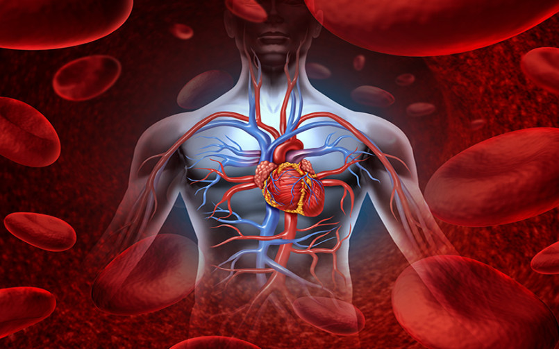 Coronary Heart Disease Market Size, Epidemiology, Industry Trends and Forecast 2024-2034