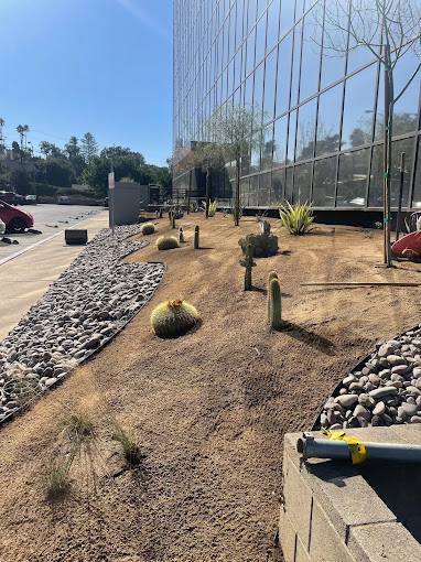 Le Perv Landscape: Elevating Commercial Landscaping Services in San Diego