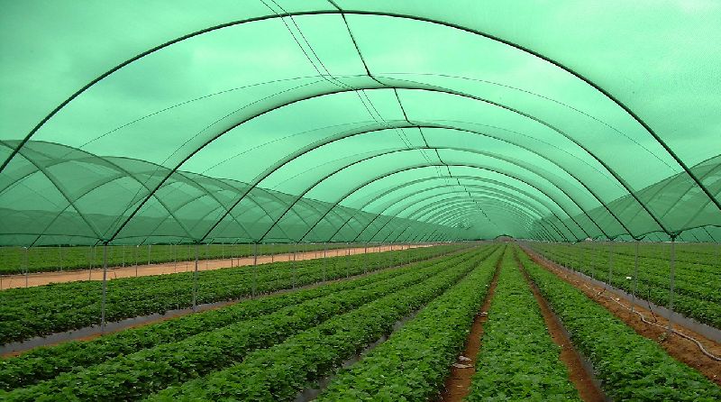 Green Agro Shade Net Manufacturing Plant Report 2024: Project Cost, Raw Materials and Investment Opportunities 