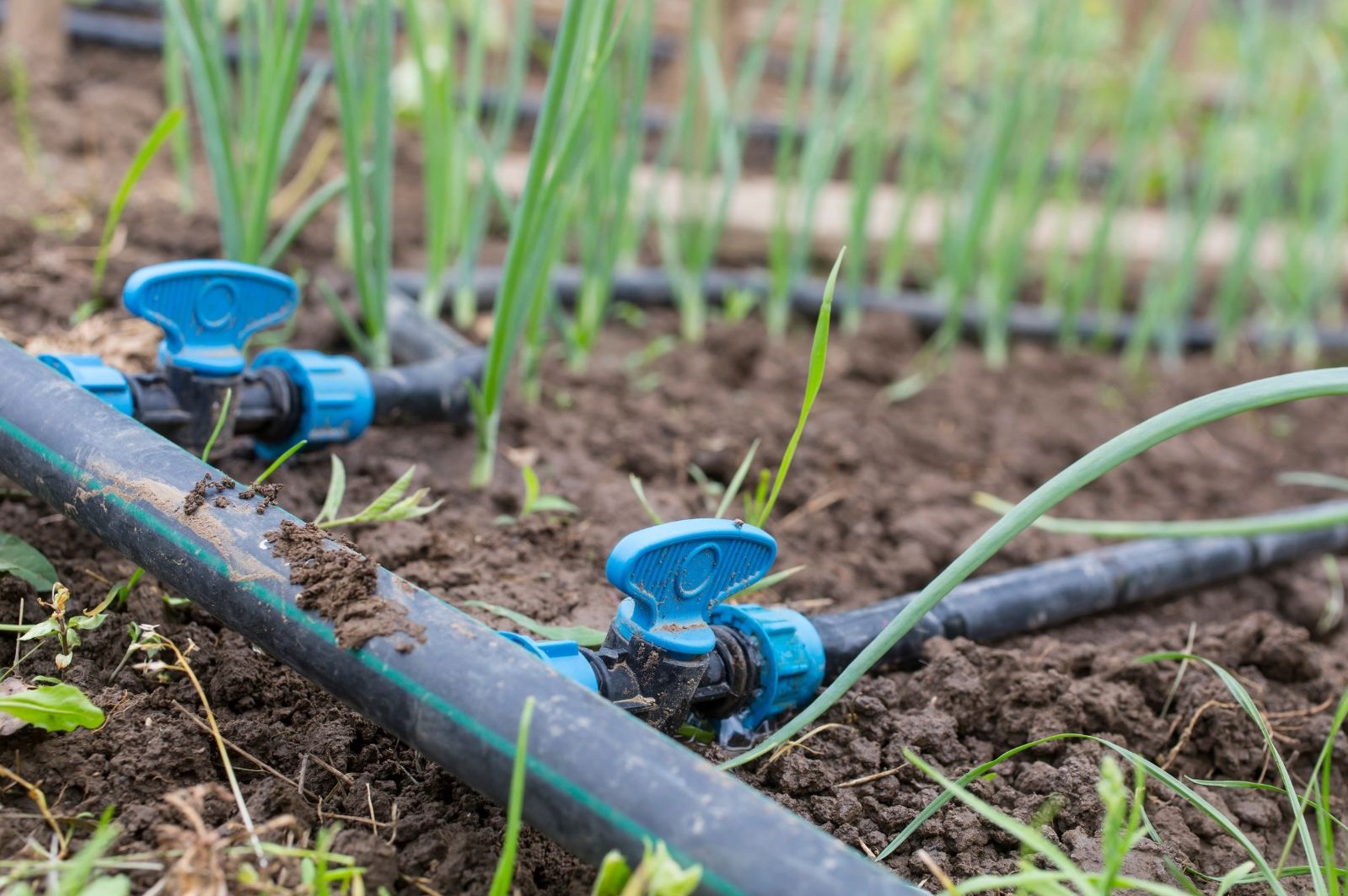 Drip Irrigation Systems Manufacturing Plant Project Report 2024: Raw Materials, Setup Cost and Revenue