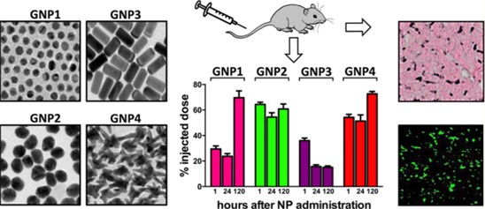 CD Bioparticles Launches Endotoxin Free Gold Nanoparticles for Biomedical Research and Bioassay Development