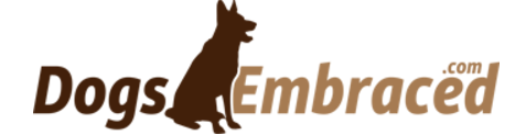 Dogs Embraced Offers Expert Advice On Selecting The Most Effective Flea Treatment For Dogs