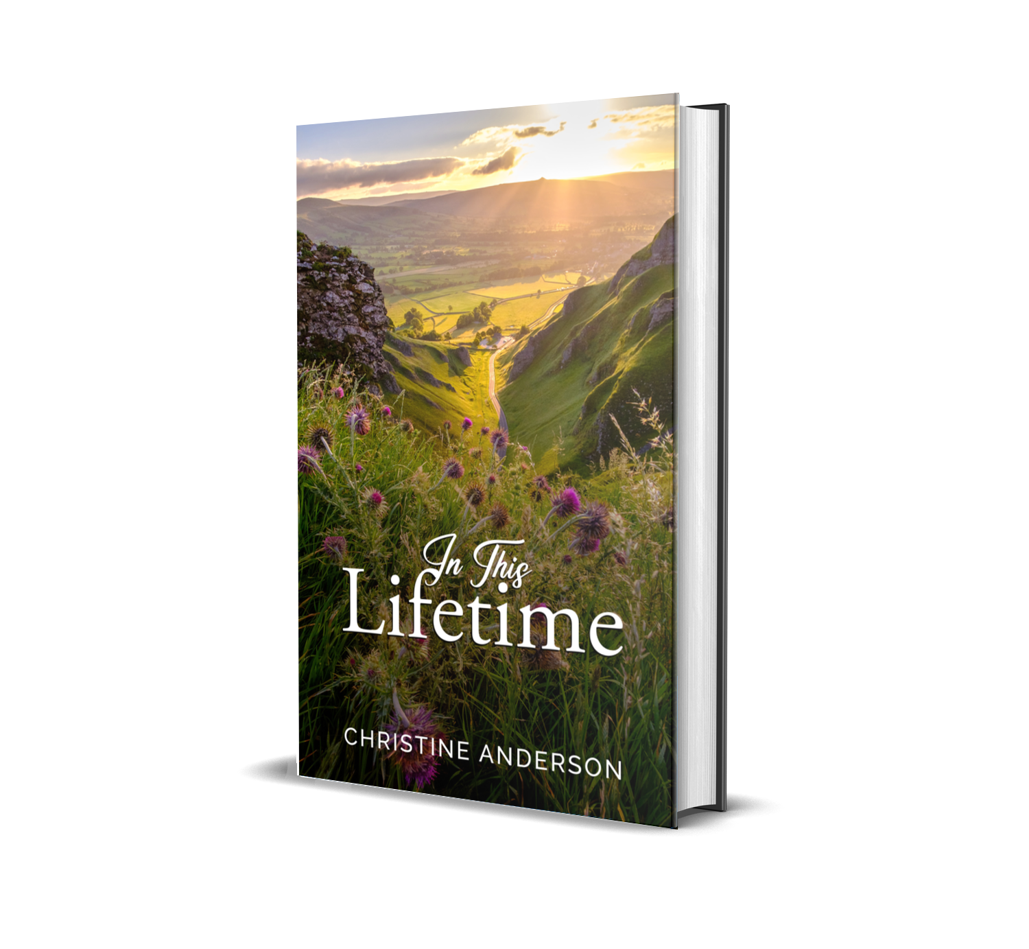 A Journey Through Forgiveness - In This Lifetime by Christine Anderson