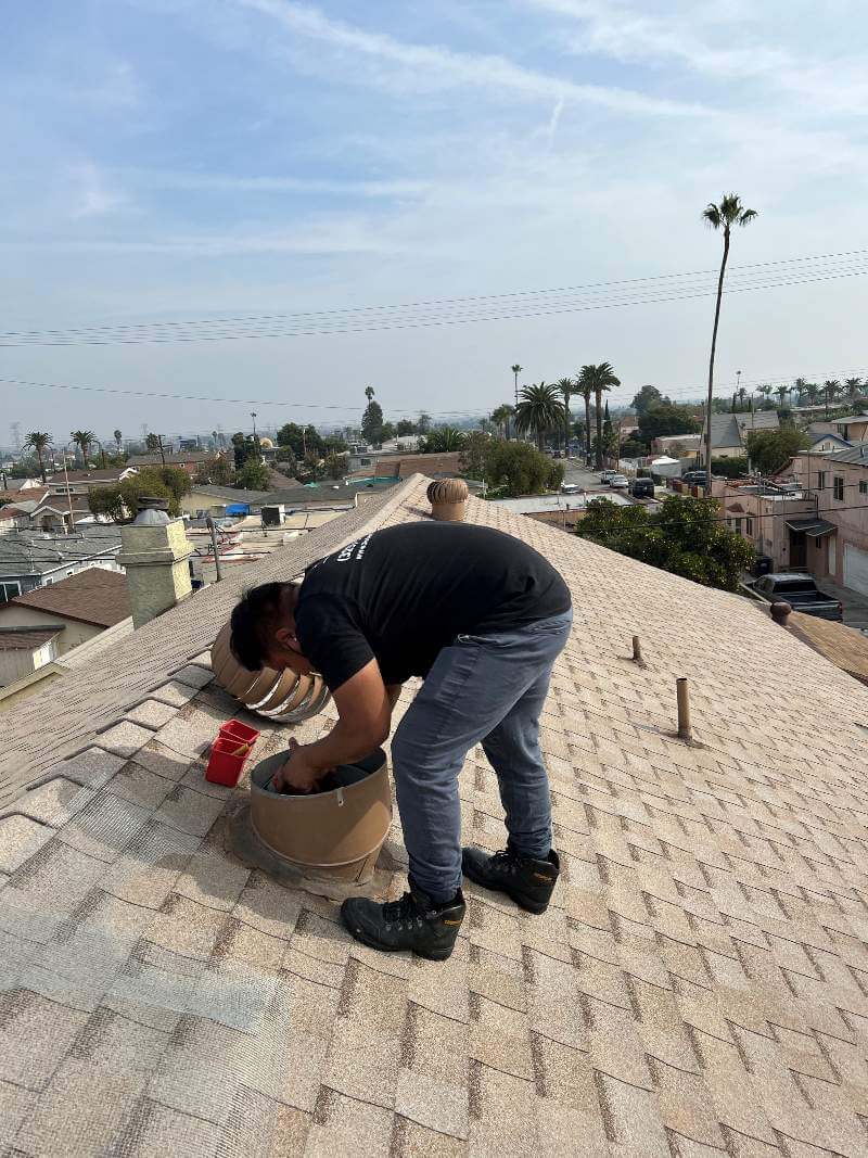 Rodent Control Inc. Offers Unmatched Attic Cleaning Services to Prevent Pest Infestations 