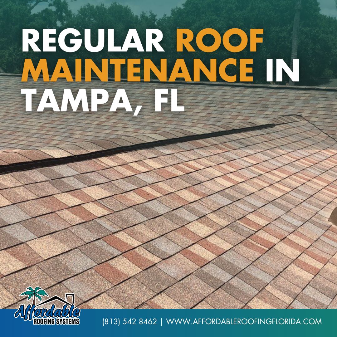 Affordable Roofing Systems Urges Tampa Property Owners to Prioritize Regular Roof Maintenance Amid Extreme Weather Trends