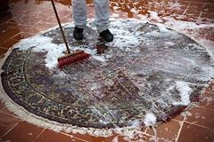 Revitalise The Living Space with Priority Carpet Cleaning’s Expertise