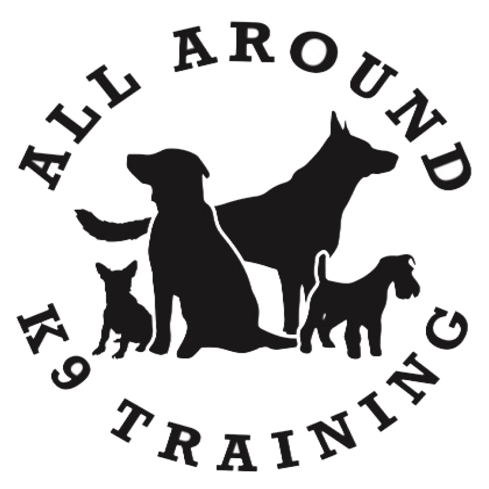 All Around K9 Training: Transforming Lives with Expert Dog Training in San Antonio