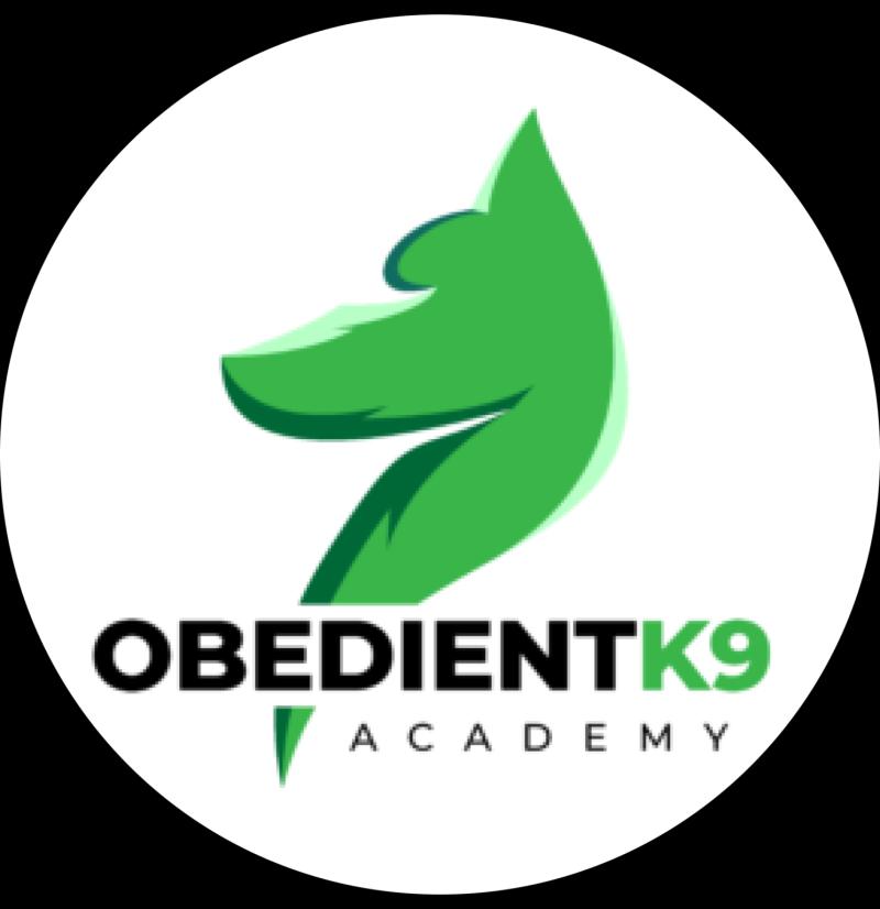 Obedient K9 Academy Launches Comprehensive Puppy Training Programs in Charlotte, NC