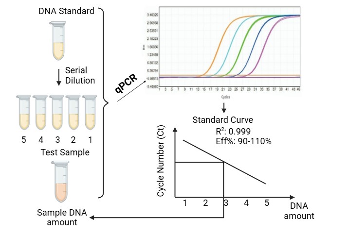 Creative Diagnostics Announces Enhanced Viral Nucleic Acid Residue Assay Kits for Biopharmaceutical Manufacturing