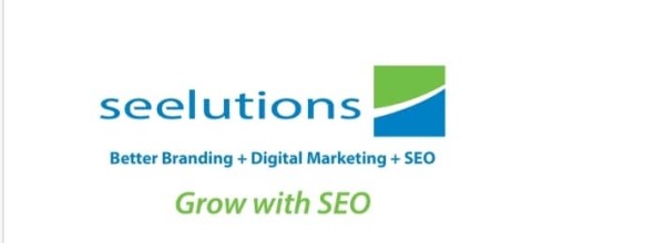 seelutions a Richmond SEO Firm Is Named Best In Virginia